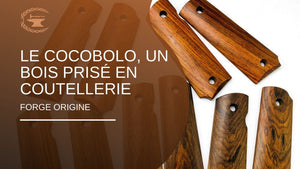 Le cocobolo, un bois prisé en coutellerie - ForgeOrigine