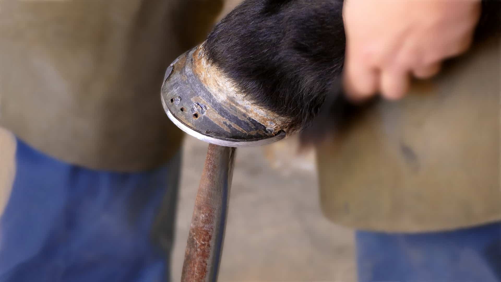 Les outils de maréchal Ferrant - ForgeOrigine