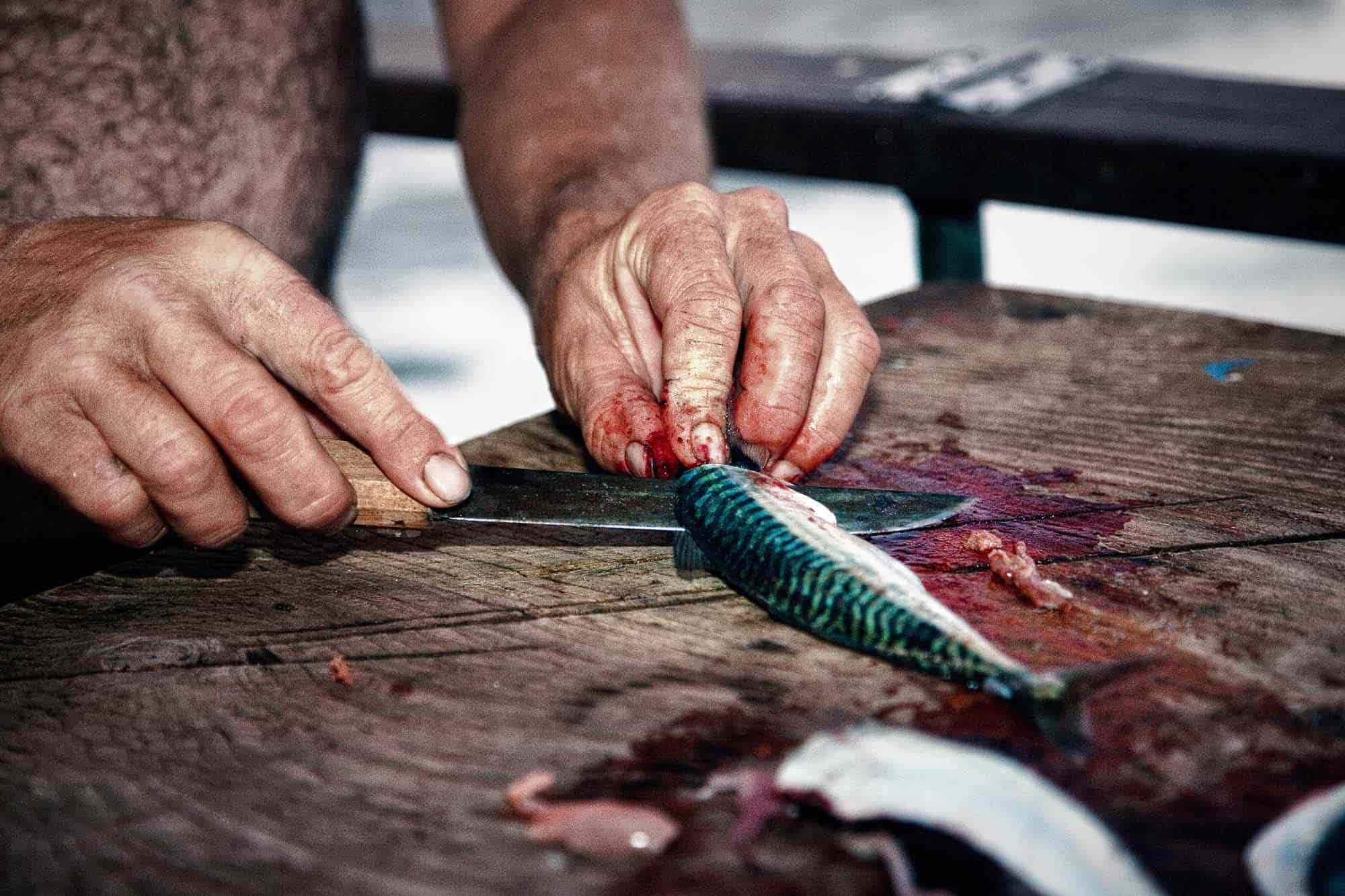Le couteau de pêche - ForgeOrigine