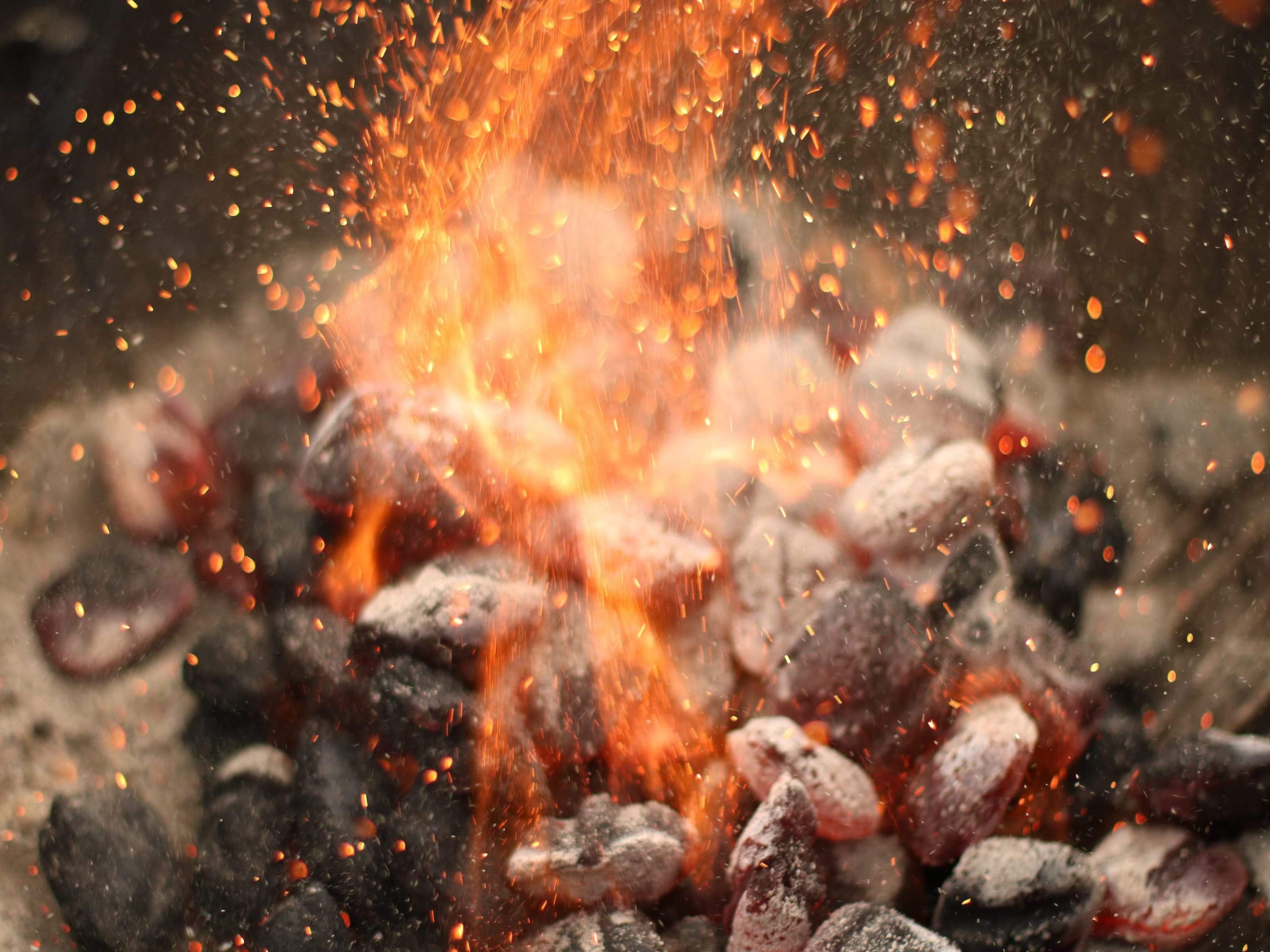 Les différents types de combustibles pour la forge - ForgeOrigine