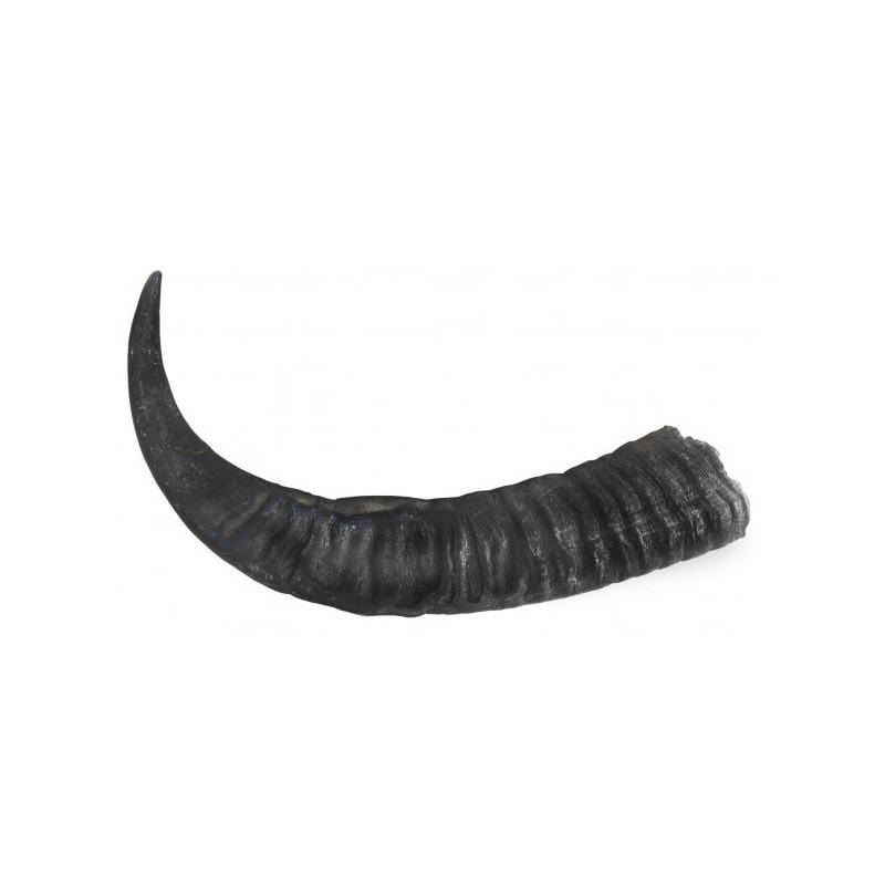 Corne de buffle - ForgeOrigine