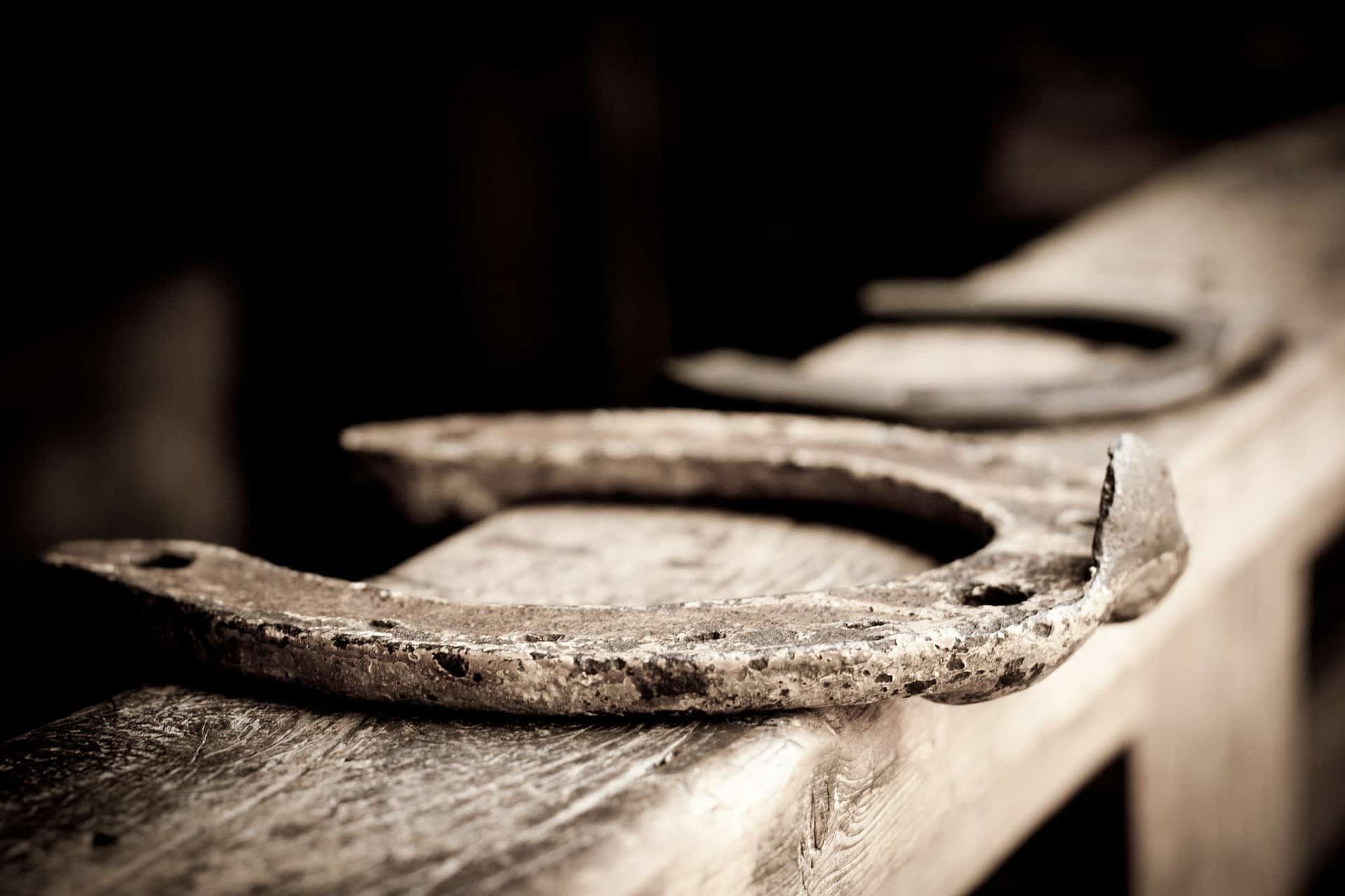 Le fer à cheval, son importance - ForgeOrigine