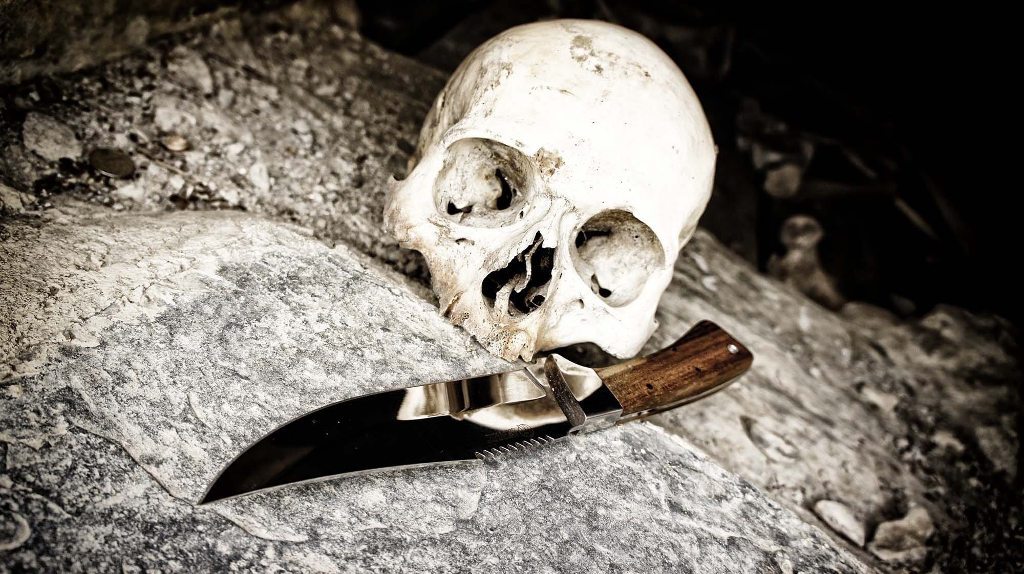 Les 8 parties principales de l’anatomie d’un couteau - ForgeOrigine