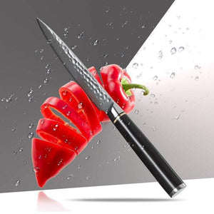 Couteau japonais martelé damas fruit et légume - ForgeOrigine